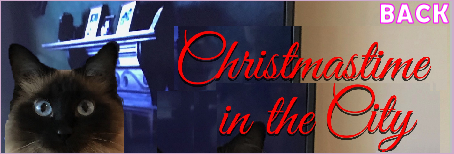 Back to Daphne Lynn Stewart's Christmas Time in the City